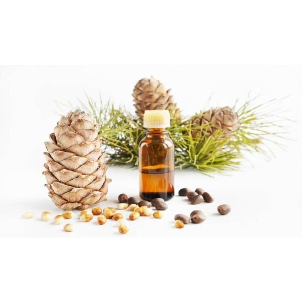 Certified Organic Atlas Cedarwood Essential Oil