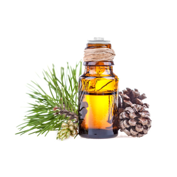 Pine Essential Oil, Pure Therapeutic-grade