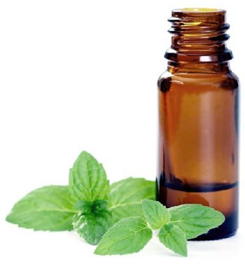Peppermint Essential Oil, Therapeutic Grade
