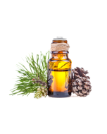 Pine Essential Oil, Pure Therapeutic-grade