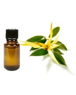 Ylang Ylang Pure Essential Oil -Therapeutic Grade